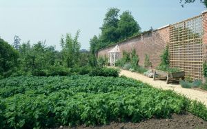 Prince Charles and his garden at Highgrove - vegetable garden.jpg